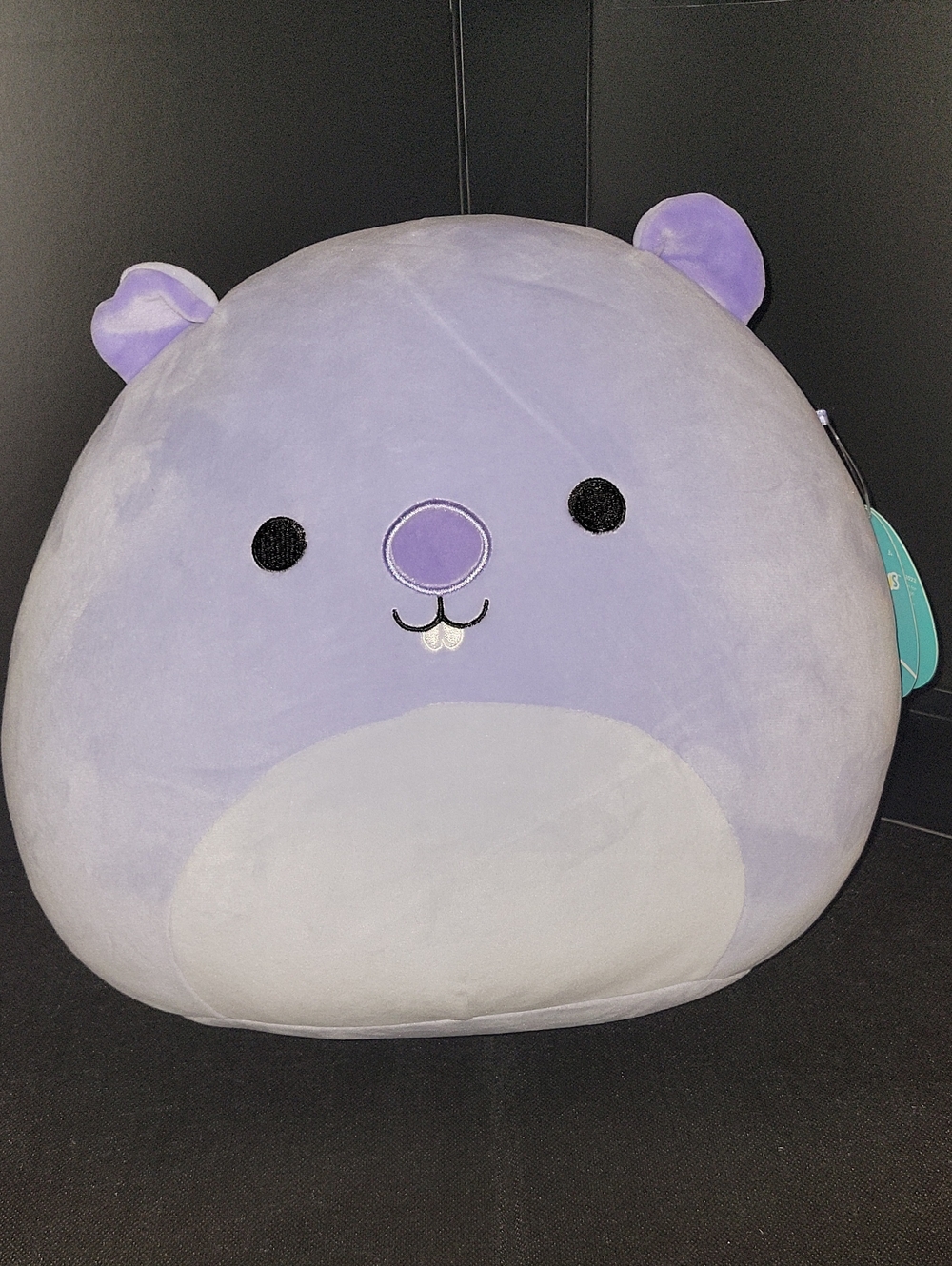 Squishmallows 12" Javari the Groundhog (NWT)